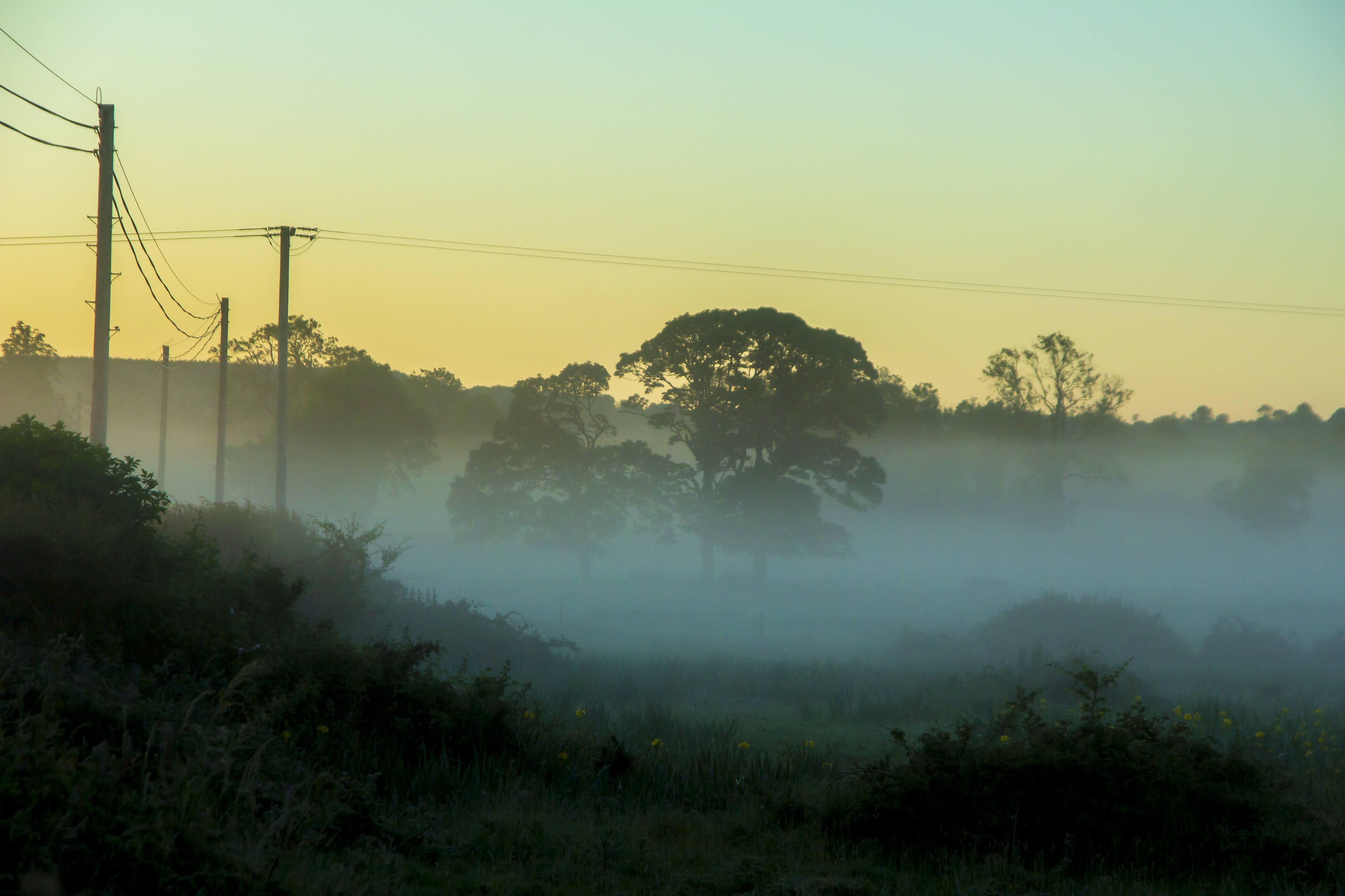 Misty Irish field at dawn